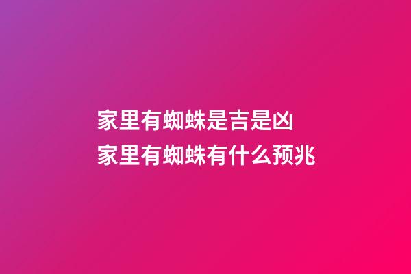 家里有蜘蛛是吉是凶 家里有蜘蛛有什么预兆